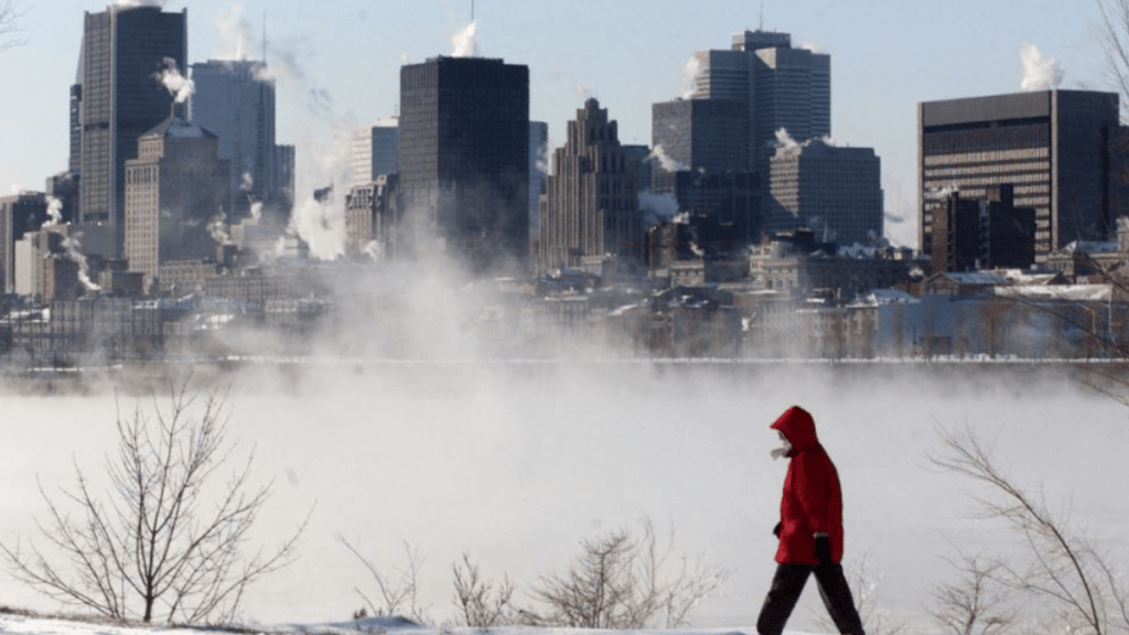 在加拿大就讀的國際學生人數減少。路透社