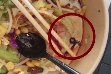 顧客發布影片中，一條活生生蚯蚓螺螄粉堆中不停蠕動。網片截圖