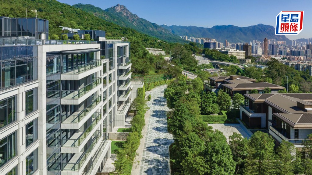 緹外加推頂層複式大宅招標發售。