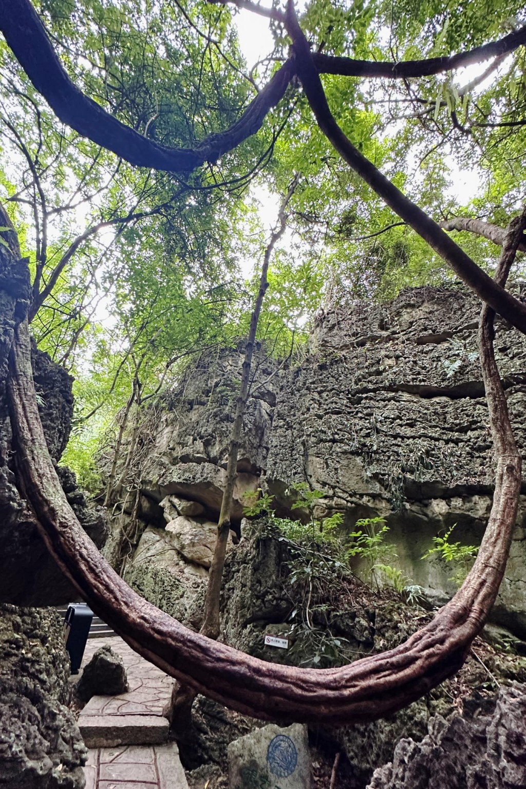 樓主：「天星橋風景區」「石、洞、樹、水」玲瓏秀美結合。圖片授權David Cheng