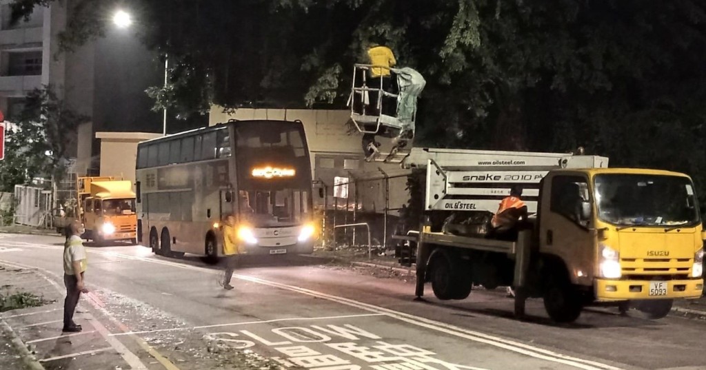 石澳及赤柱塌樹嚴重，城巴9號線周一暫停服務。城巴提供