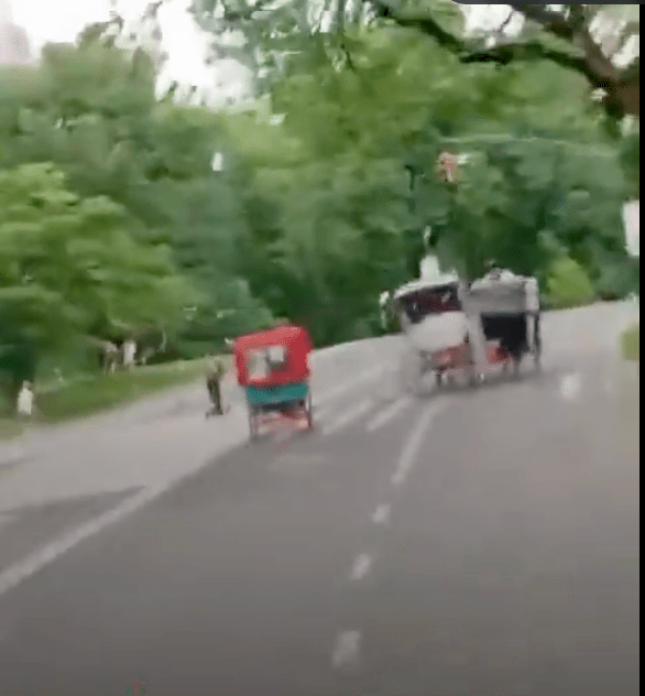 事發於17日下午約2時45分,當時馬哈詹與2名家人及另一名乘客共4人,正乘坐一輛觀光馬車行經中央公園內的 West Drive。@Breaking911(下同) 事發於17日下午約2時45分,當時馬哈詹與2名家人及另一名乘客共4人,正乘坐一輛觀光馬車行經中央公園內的 West Drive。@Breaking911(下同)