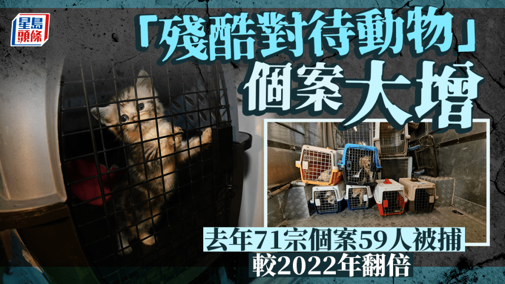 去年59人涉「殘酷對待動物」被捕 較2022年翻倍 共22人遭檢控