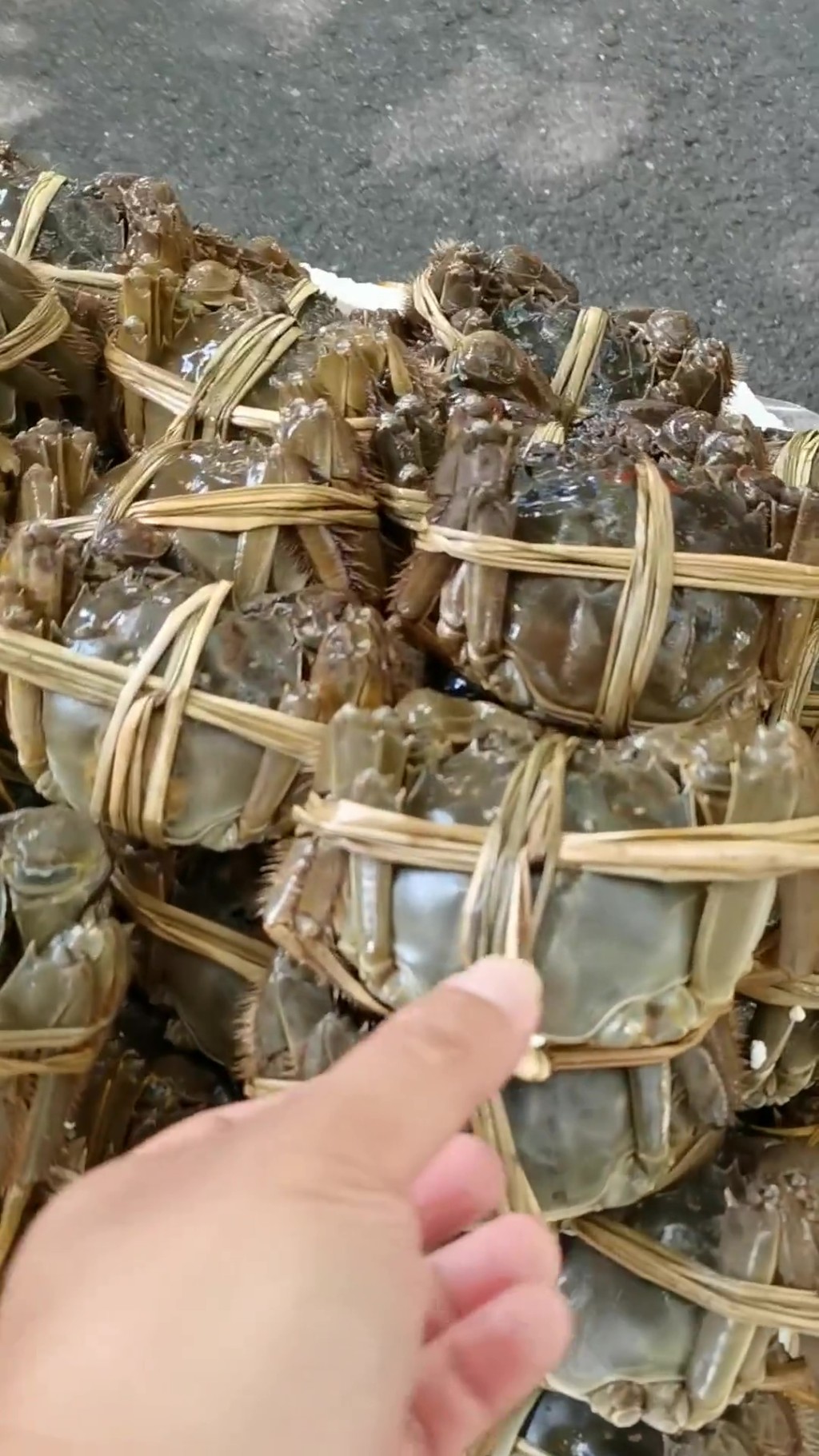 大閘蟹行情兩極化!中小蟹跌至地板價¥5隻,頂級精品價依舊硬。抖音 大閘蟹行情兩極化!中小蟹跌至地板價¥5隻,頂級精品價依舊硬。抖音