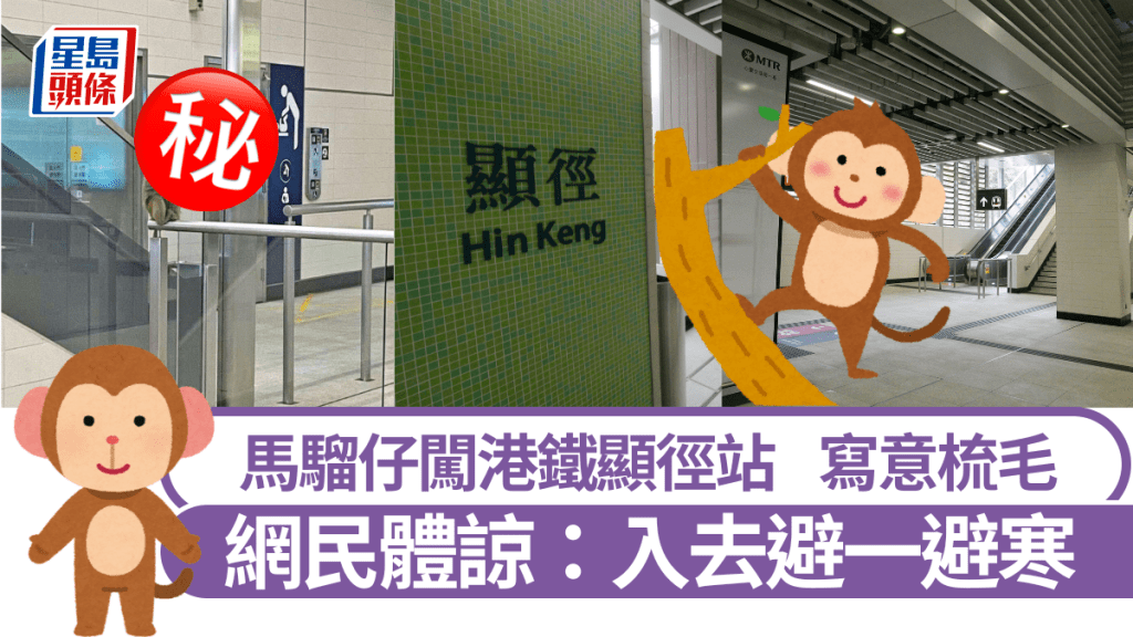 馬騮仔闖顯徑站寫意梳毛 網民體諒:太凍入去避一避