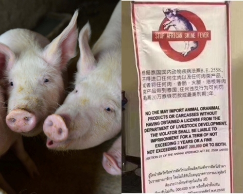 泰國禁旅客帶豬肉入境。