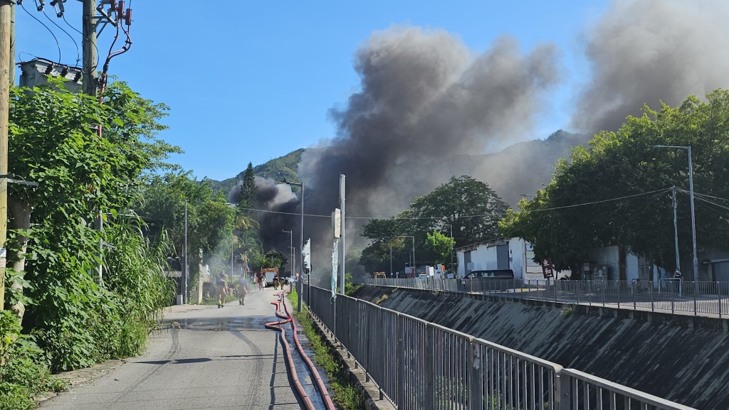 现场为元朗公庵路近白沙山路一处货仓。徐裕民摄