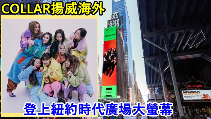 COLLAR好叻豬!