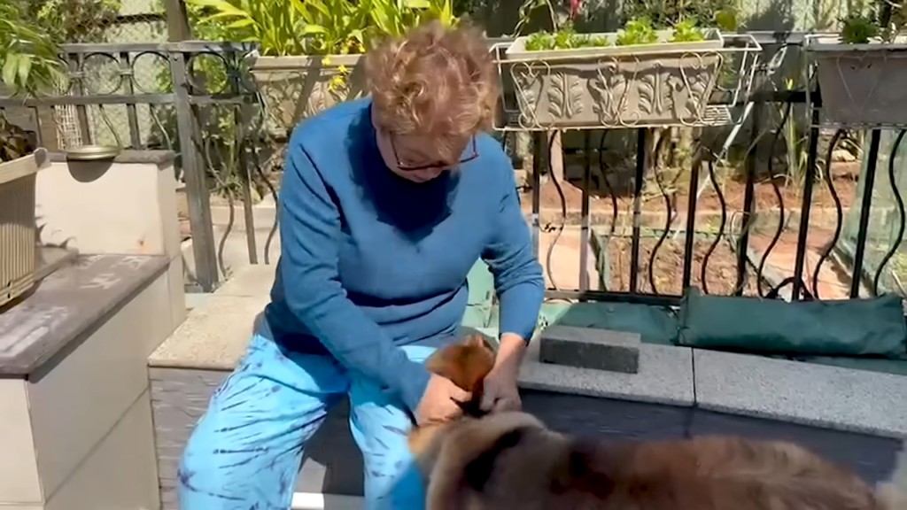 肥妈试过自己的YouTube频道分享与狗狗相处的vlog。