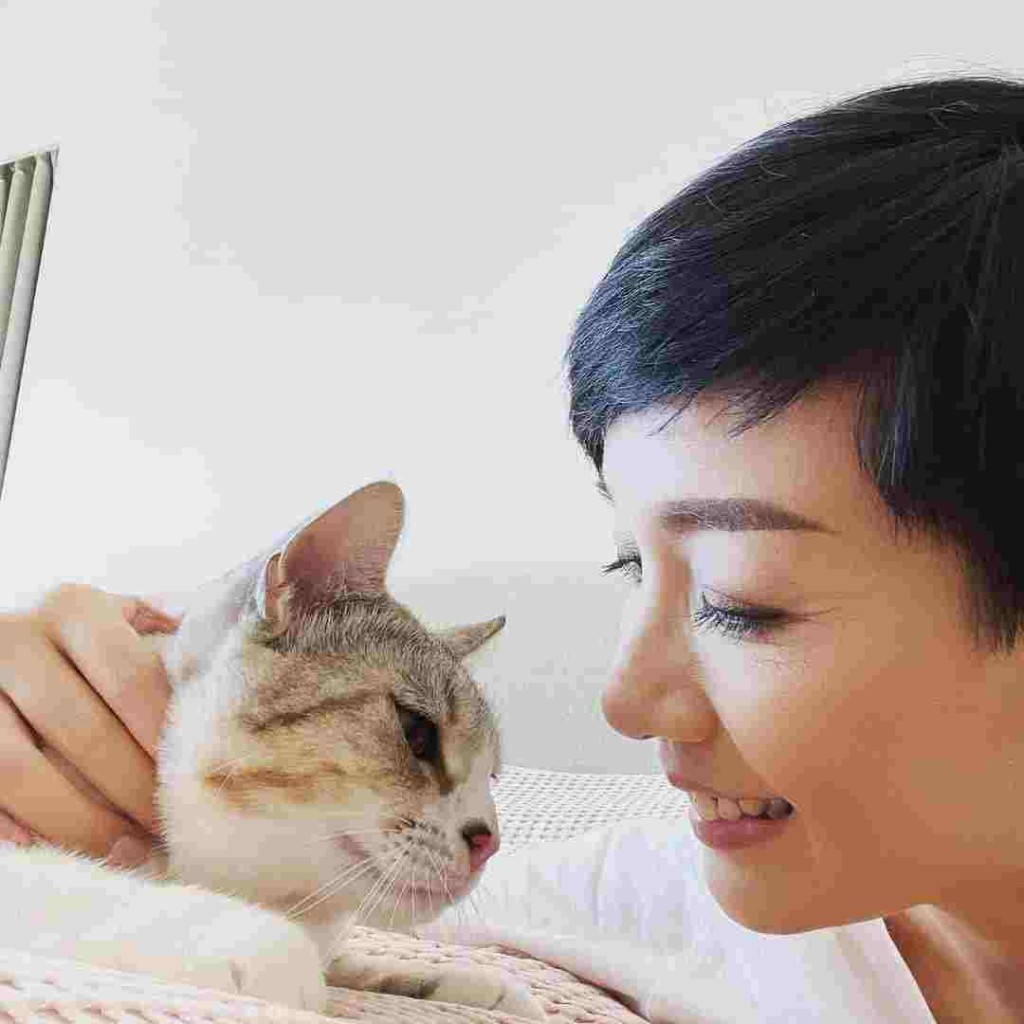 藝人江美儀喜愛小動物，圖為其領養的小貓。