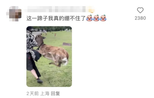 鹿贼七情上面起飞脚踢。 红星新闻