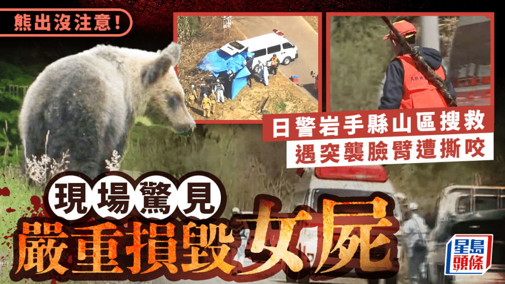 日本熊出沒｜岩手縣山區搜救警臉臂遭撕咬受傷 現場驚見嚴重損毀女屍