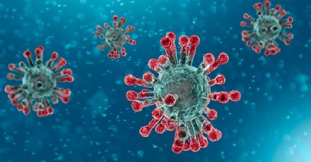 XBB15是疫情到目前為止傳染力最強的亞型變異株。ECDC fb