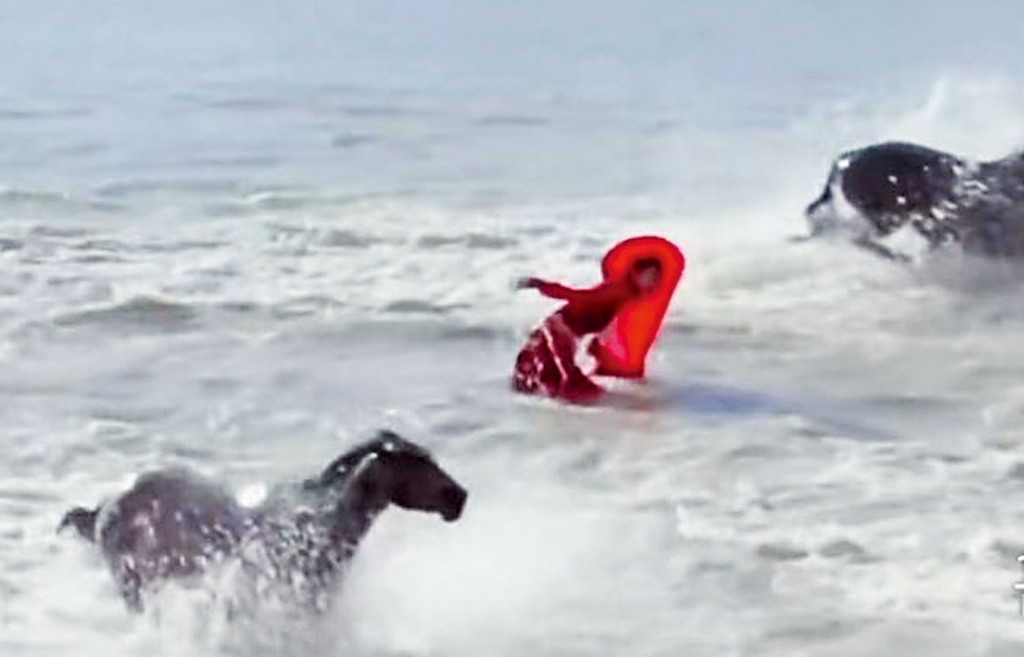 ■新疆網紅女局長賀嬌龍策馬摔倒河中。 ■新疆網紅女局長賀嬌龍策馬摔倒河中。