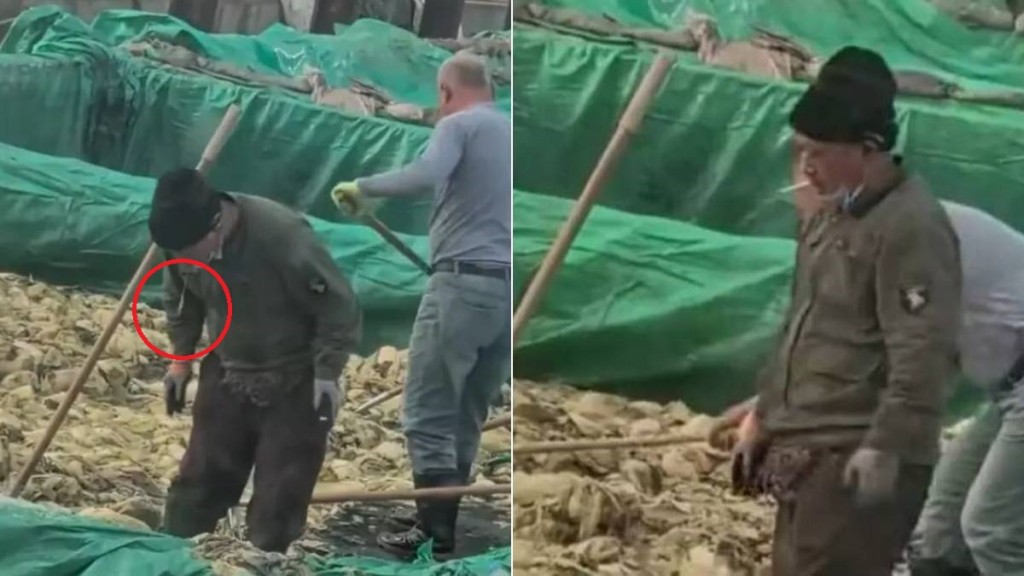 影片顯示工人在酸菜池內隨意吐痰及吸煙。