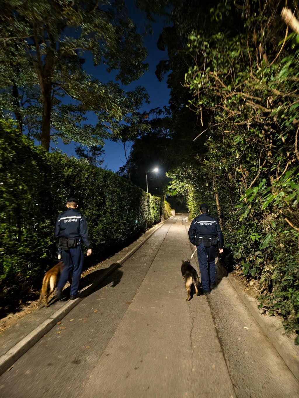 港島總區衝鋒隊的野外巡邏隊聯同西區、中區、灣仔區、東區警區及水警南分區特遣隊及軍裝巡邏小隊，並動員港島總區無人機隊、機動部隊及政府飛行服務隊，於2月6日至2月9日期間，展開為期4日的跨部門聯合反爆竊行動。警方提供