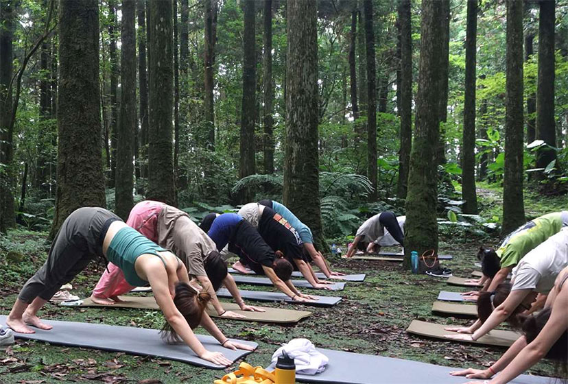 （圖片來源：森活節2025）