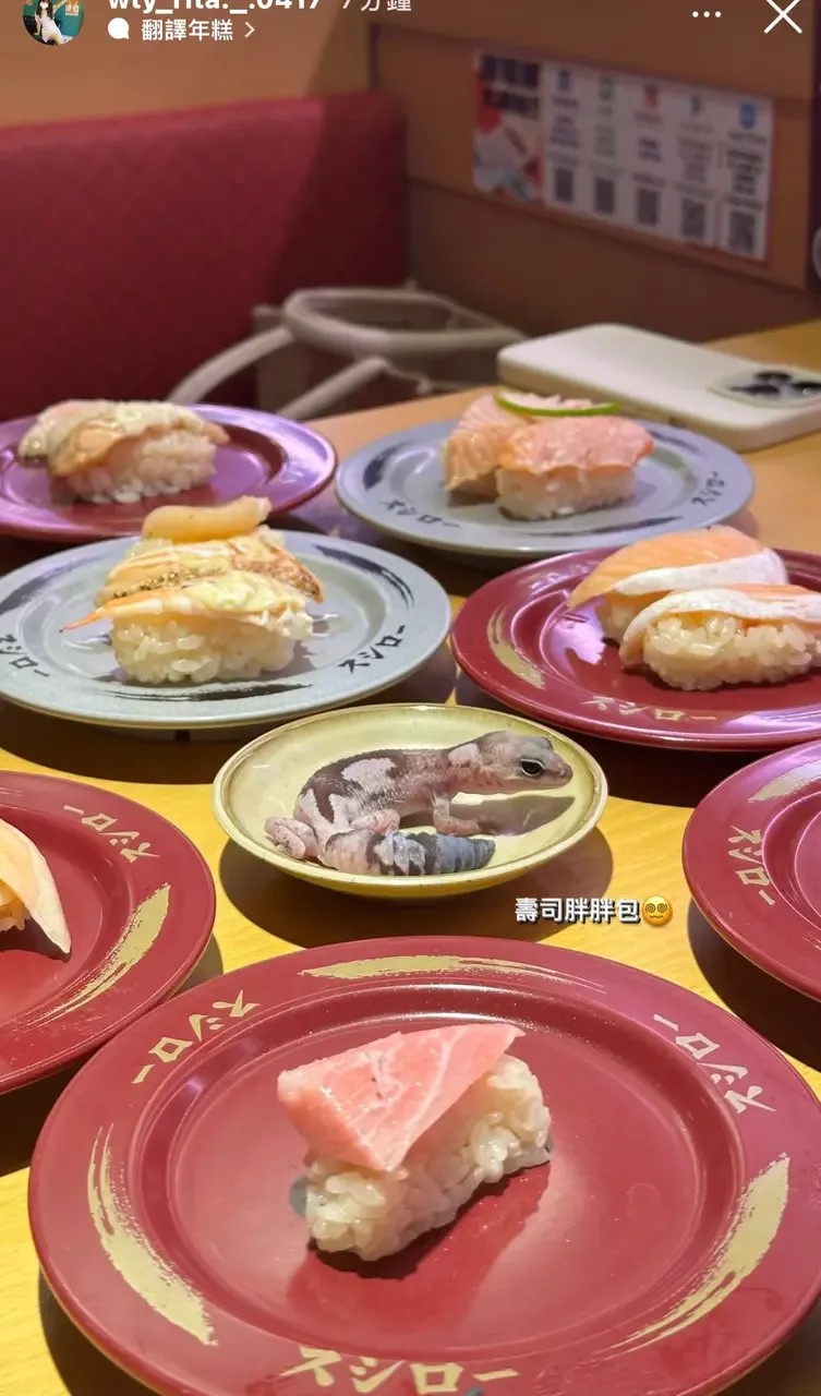 台湾元智大学女生把活檐蛇宠物，放在寿司郎豉油碟上拍照惹来批评。