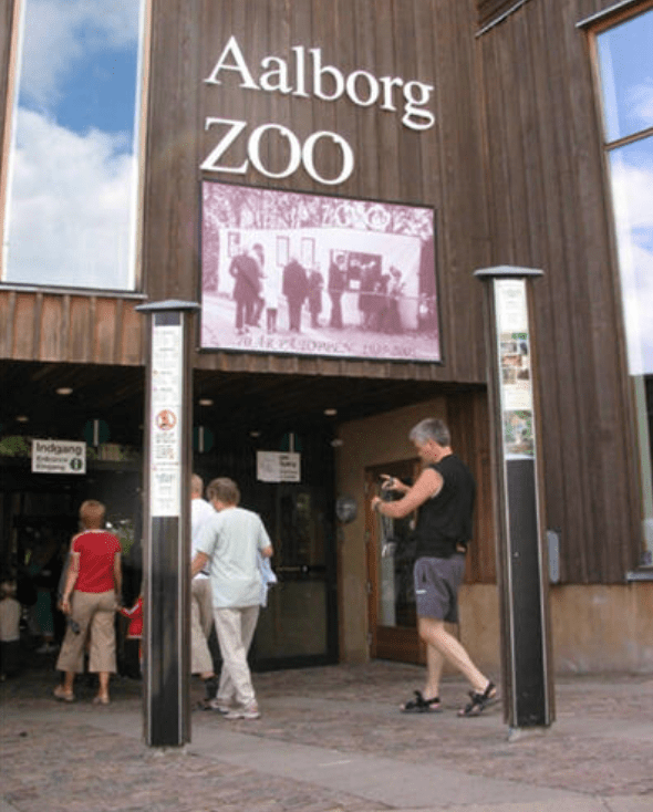 丹麥的Aalborg動物園發起了一項獨特倡議,呼籲公眾捐贈健康但不想要的寵物,不過園方不是用來收養,而是拿去餵養其圈養的掠食者。Alamy 丹麥的Aalborg動物園發起了一項獨特倡議,呼籲公眾捐贈健康但不想要的寵物,不過園方不是用來收養,而是拿去餵養其圈養的掠食者。Alamy