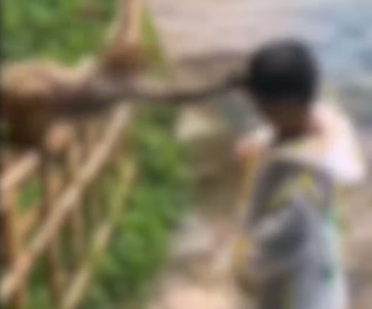 貴州有男童因向猴子舉中指被圍毆。示意圖