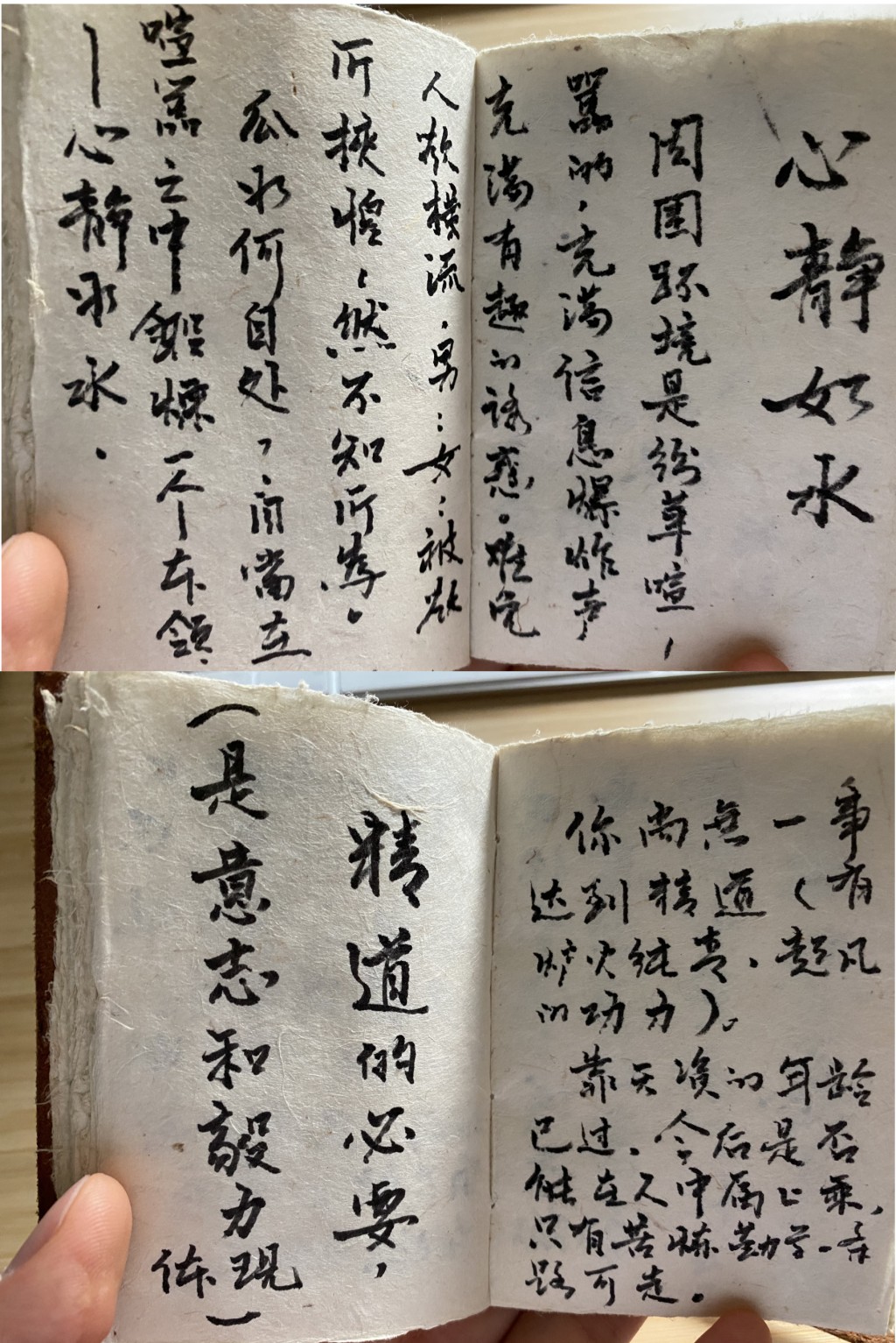 薄瓜瓜在互聯網公開母親家書。