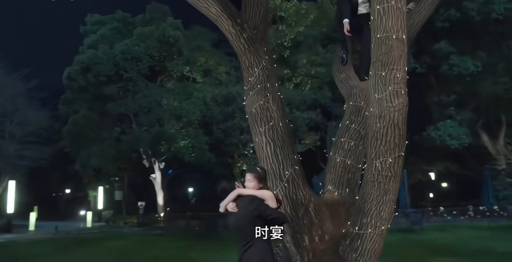 王鹤棣担忧白鹿安全，耐心劝说将她抱下树。