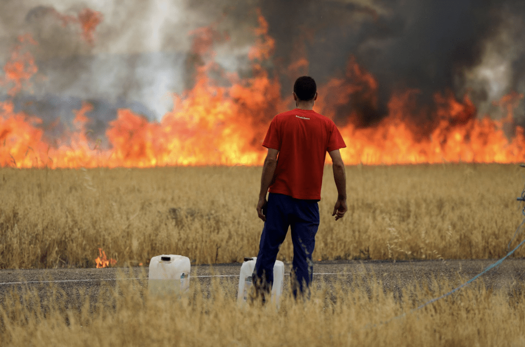 去年西班牙經歷熱浪侵襲，圖為被野火燃燒的麥田。路透社