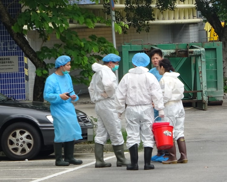 上水屠房有員工初步確診。資料圖片