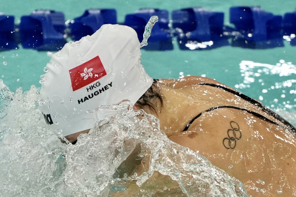 泳總又指增設「競賽屬會」，目的為使更多非牟利游泳團體能夠致力於推廣游泳運動。圖為2023年香港公開游泳錦標賽。