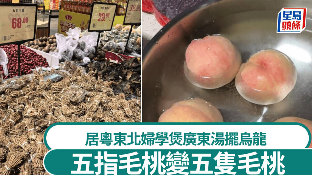 有東北婦人學煲廣東湯時，錯把五指毛桃，當作五隻毛桃，鬧出笑話。
