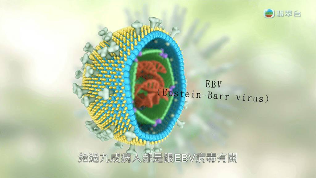 陈汝威解释指鼻咽癌与常见的EBV病毒有关（人类疱疹病毒第四型）：「全球超过九成已经感染过呢种病毒，呢种病毒好似冬眠咁，匿埋喺身体。」