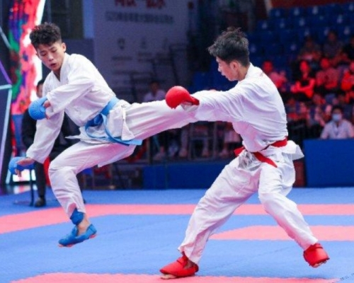 港队选手包揽本站赛事的男、女个人型和团体型项目的4面金牌。 网图