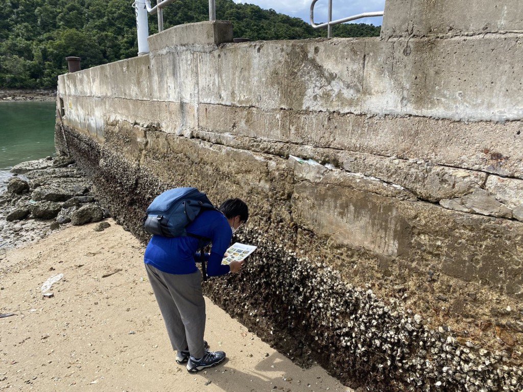 同學在石灘附近觀察潮間帶的海洋生物，並進行物種辦識（圖片由學生提供）