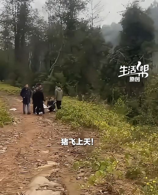 村民違規用無人機吊活豬。生活幫