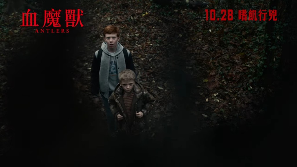 帶朋友行入樹林發現怪嘢。