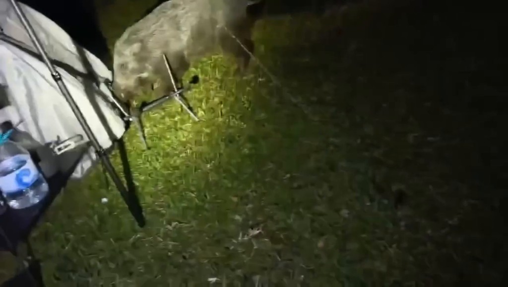 Threads截圖(資料來源:szewai_li@Threads) Threads截圖(資料來源:szewai_li@Threads)