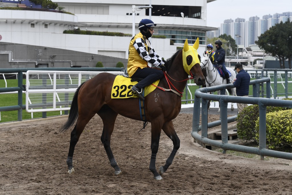 上季新馬賽曾出賽的馬相當勁揪， 當然包括「電訊龍駒」。