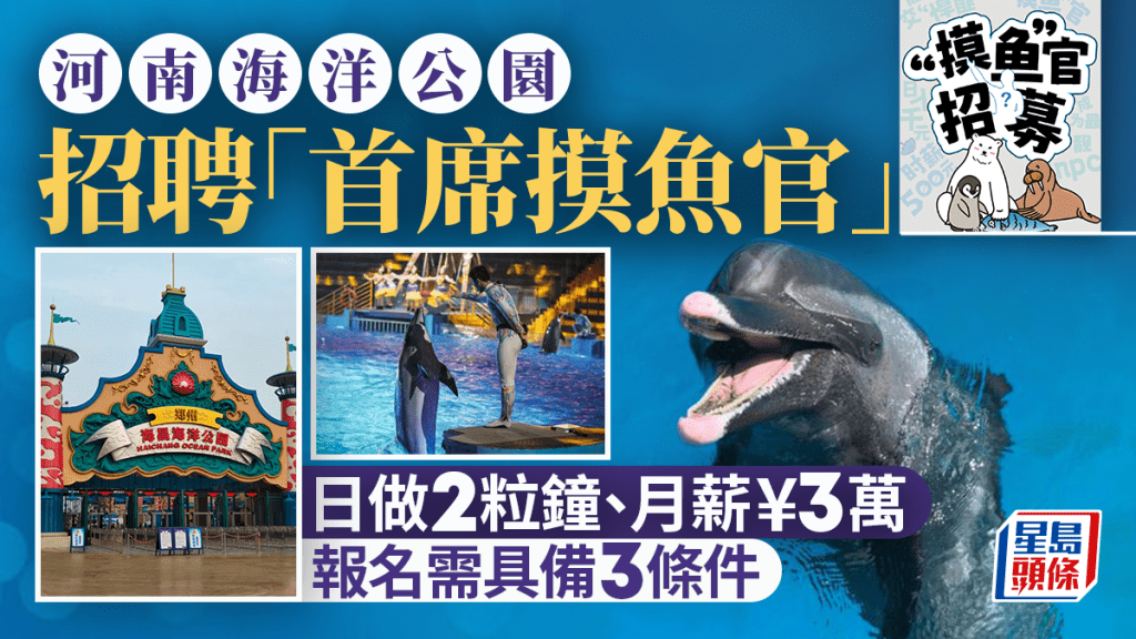 月薪¥3萬筍工︱「首席摸魚官」日做2粒鐘 唔止有樣貌仲要一個條件……