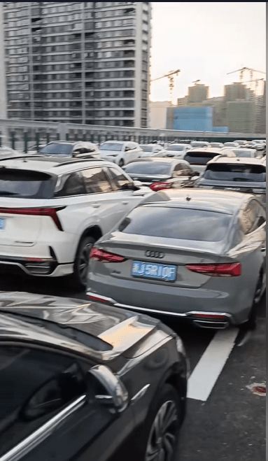 浙江臨海車主把車輛開上高架避颱風。 浙江臨海車主把車輛開上高架避颱風。