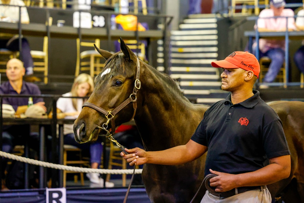 香港賽馬會國際馬匹拍賣高級經理羅子達親自出席入貨，結果首天順利購入三駒。(照片提供：Candiese Lenferna)