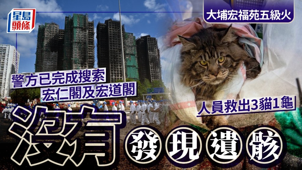大埔宏福苑五級火｜警方完成搜索宏仁閣宏道閣 未發現遺骸 救出3貓1龜