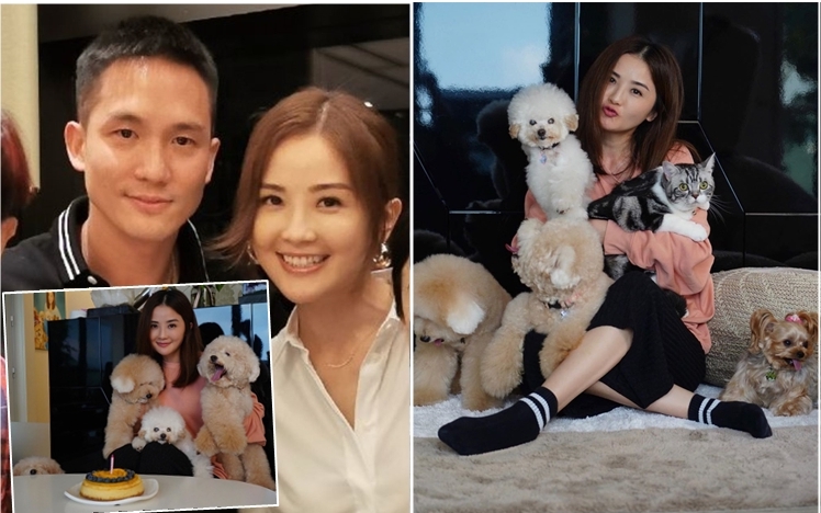 蔡卓妍人狗貓團圓大合照，男友石恆聰去咗邊?