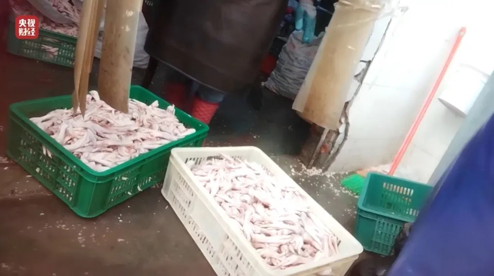 内地黑心凤爪以双氧水漂白,厂房虫鼠横行,工人自己不敢吃。 内地黑心凤爪以双氧水漂白,厂房虫鼠横行,工人自己不敢吃。