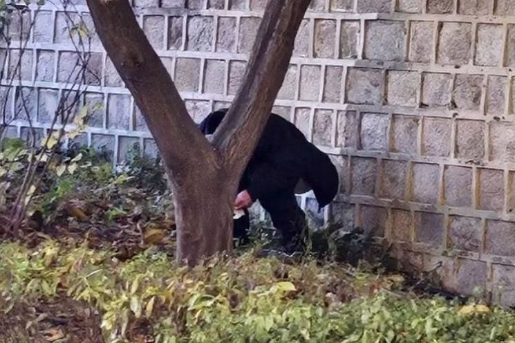 遊客在景福宮當眾大解的影片震驚網民。 南韓討論區