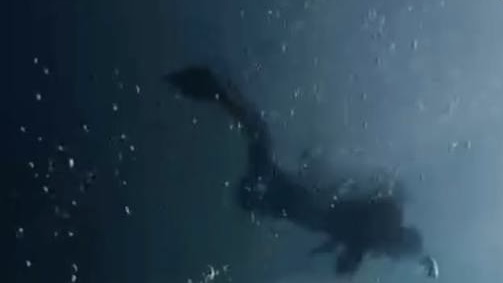 中國夫婦在印尼浮潛 遭巨浪捲走溺亡