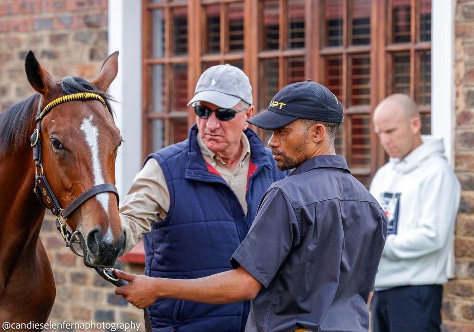 上季与马会解约的练马师苗礼德，则协助马匹会拍卖会前检查并筛选马匹。(照片提供：Candiese Lenferna)