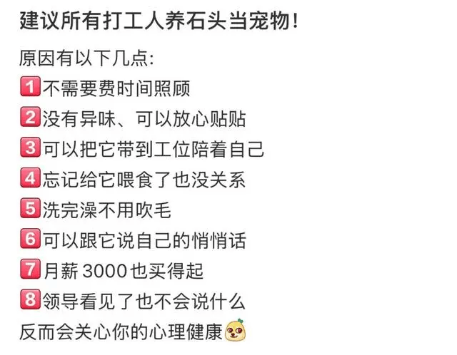 網民大讚「養寵物石」好處多多。