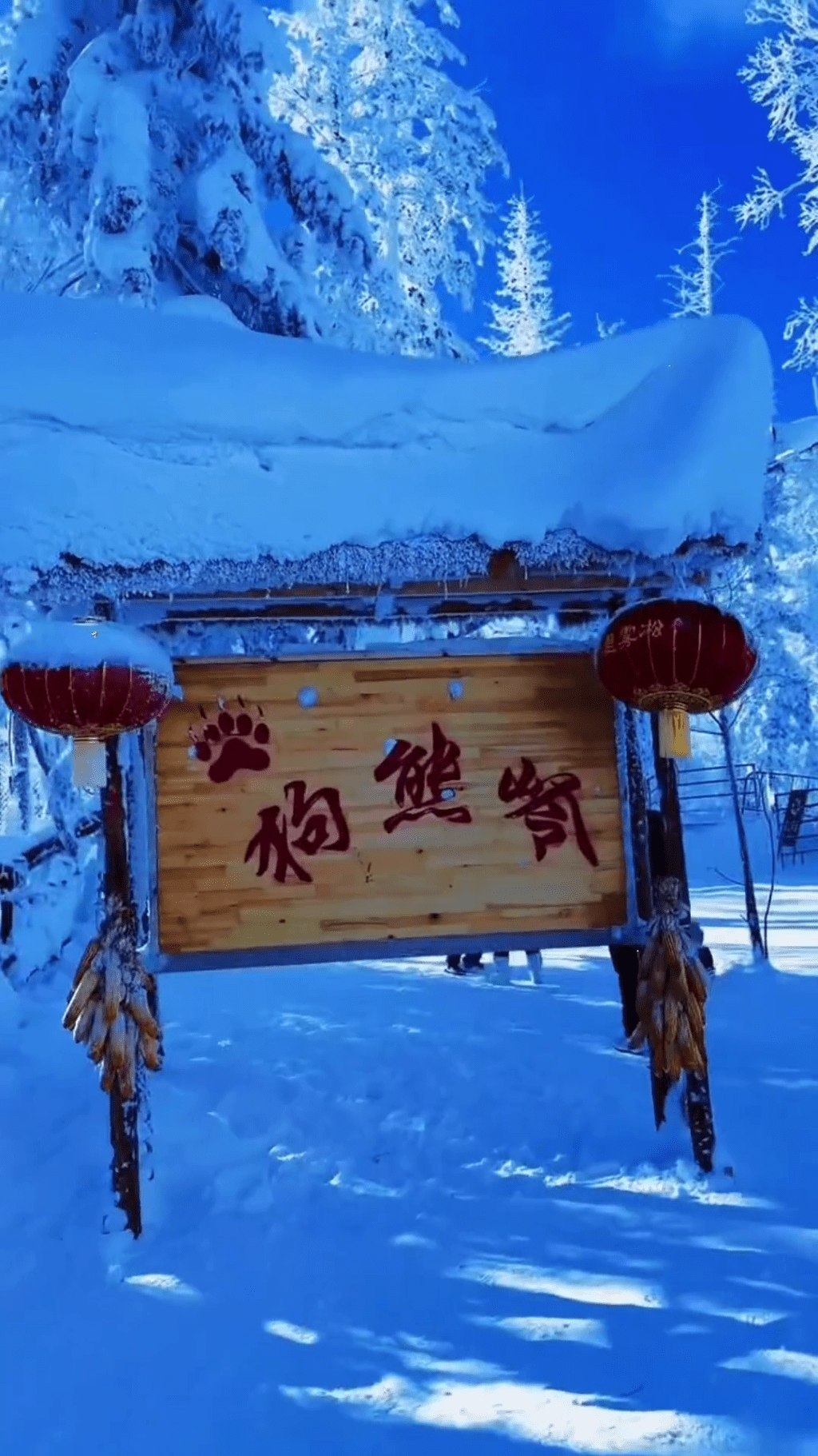 “郑州狗熊岭梦幻雪乡”宣传影像被指是“照骗”。 “郑州狗熊岭梦幻雪乡”宣传影像被指是“照骗”。