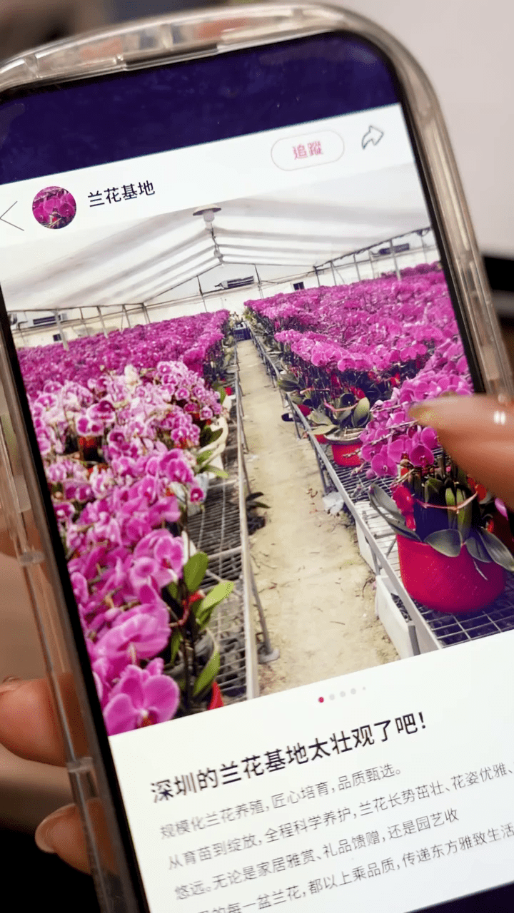 港人北上消費成風。 港人北上消費成風。