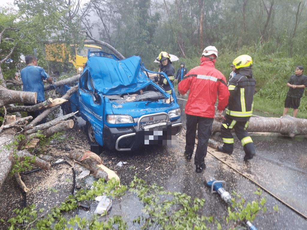 海葵台风直扑东台湾，花莲卓溪乡台30线9公里处传大树倒塌压到一辆行经的汽车。中时